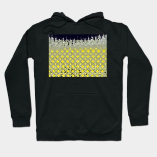 Honey Fray Hoodie